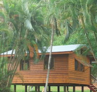 Daintree Rainforest Bungalows - Accommodation BNB