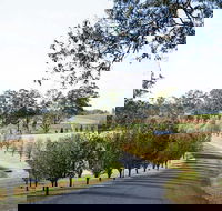 voco Kirkton Park Hunter Valley  an IHG Hotel - Accommodation BNB