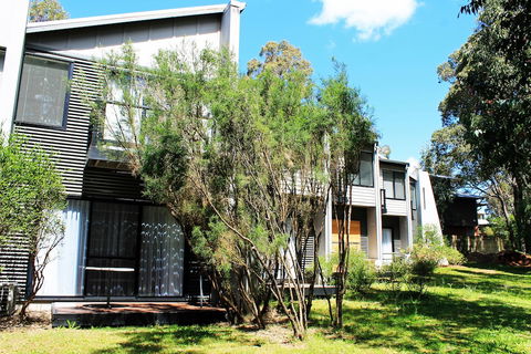 Margarets Forest - Accommodation BNB 2