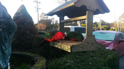 Grand Country Lodge Motel - Accommodation BNB 3