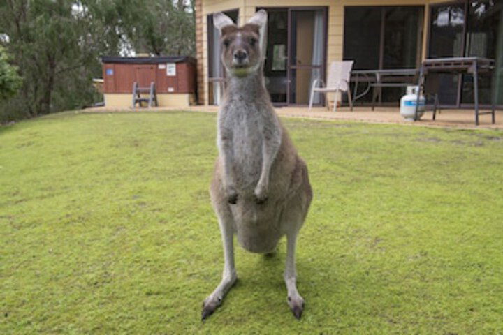 Metricup WA Accommodation BNB