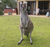 Yelverton Brook Conservation Sanctuary - Accommodation BNB