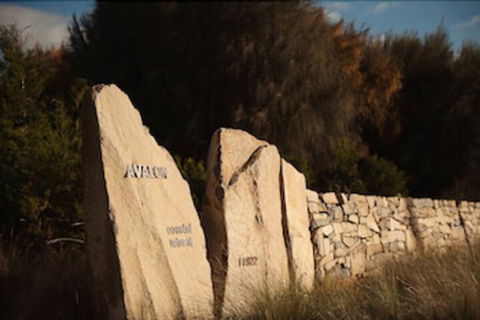 Avalon Coastal Retreat - Accommodation BNB 3
