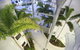 Beach Club Resort - thumb 3