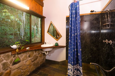The Epiphyte Bed & Breakfast - Accommodation BNB 5
