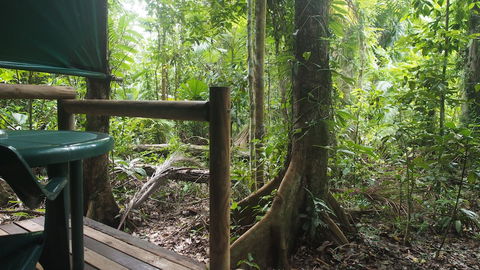 Daintree Crocodylus - Accommodation BNB 2