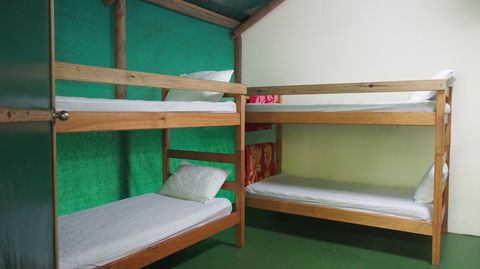 Daintree Crocodylus - Accommodation BNB 6