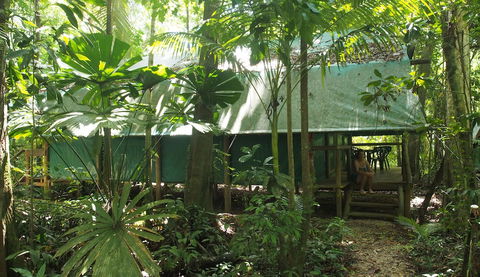 Daintree Crocodylus - Accommodation BNB 1