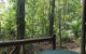 Daintree Crocodylus - thumb 0