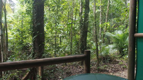 Daintree Crocodylus - Accommodation BNB 0