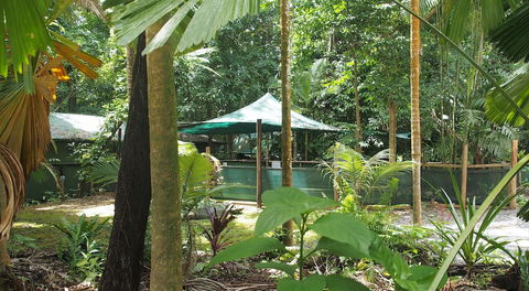 Daintree Crocodylus - Accommodation BNB 5