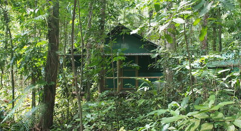 Daintree Crocodylus - Accommodation BNB 3