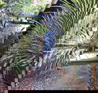 Lornebeach Apartments - Accommodation BNB