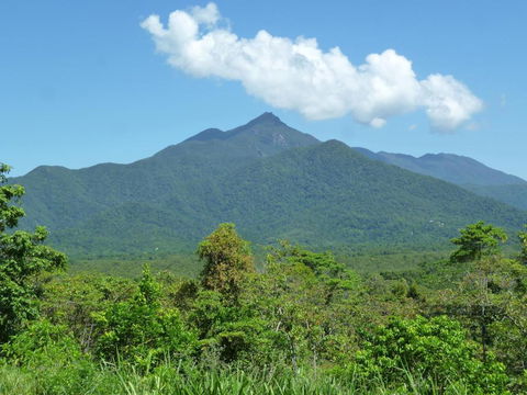 Wompoo Eco Retreat - Accommodation BNB 5