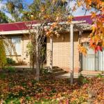 The Greenery - Accommodation BNB 0