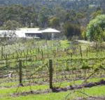 Eureka Farm - Accommodation BNB
