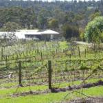 Eureka Farm - Accommodation BNB 0