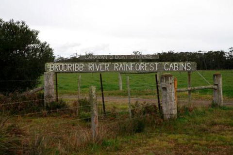 Brodribb River Rainforest Cabins Cabin 1 - Accommodation BNB 2