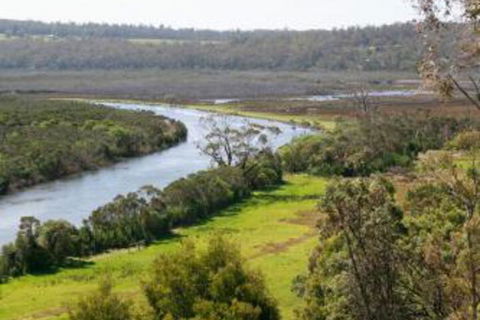 Brodribb River Rainforest Cabins Cabin 1 - Accommodation BNB 4