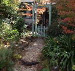 Lemon Tree Cottage - Accommodation BNB