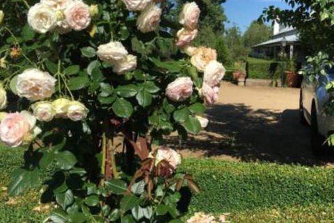 Petschel House - Accommodation BNB 3