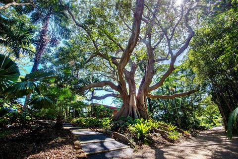 The Figs Byron - Accommodation BNB 2
