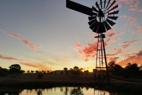Milford Country Cottages - Accommodation BNB 3