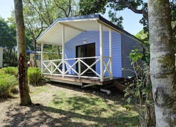 Tiona Palms Holiday Park - Accommodation BNB 6