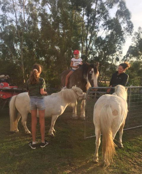 Glamping Gypsy Hobart - Accommodation BNB 5