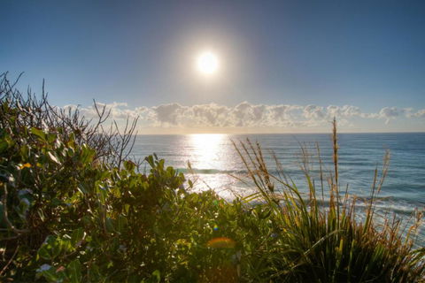Osprey Sapphire Beach NSW - Accommodation BNB 6