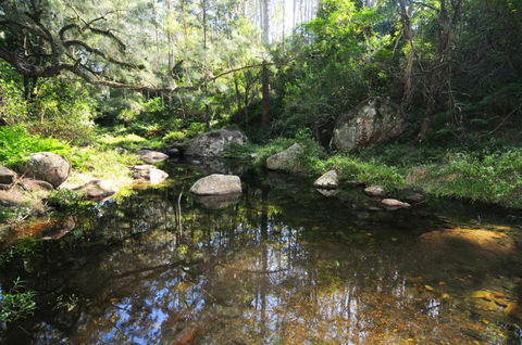 Alcheringa Cottage - Accommodation BNB 5