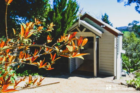 ALSACE HEALESVILLE - Accommodation BNB 2