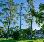 Dorrigo Mountain Holiday Park - Accommodation BNB