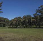 Championship Golf Course on your Back Door - Accommodation BNB