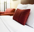 Unwind in This Gorgeous Retreat - Accommodation BNB