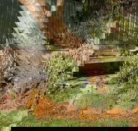 Spencer Cottage - Accommodation BNB