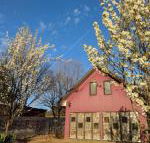 Magenta Cottage - Accommodation BNB