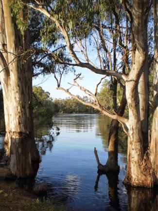 Barham Riverland Motel - Accommodation BNB 1