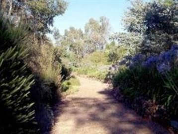 Cockatoo Valley SA Accommodation BNB