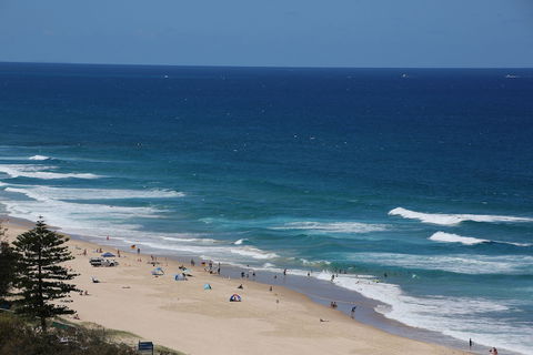Narrowneck Court - Accommodation BNB 0