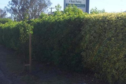 Glenndale Park Motel - Accommodation BNB 4