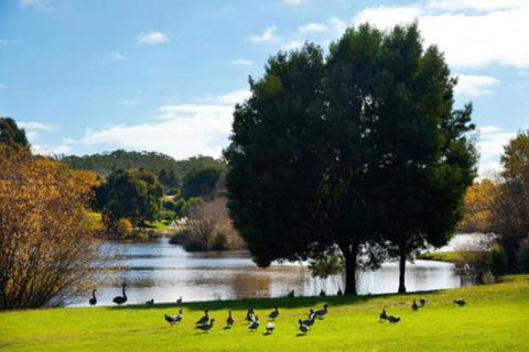 Ducks Bay - Accommodation BNB 3