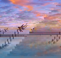 Global Backpackers Cairns - Accommodation BNB