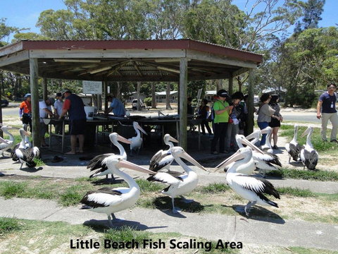 73 Bay Parklands 2 Gowrie Avenue Solar Heated Pool Spa Tennis Court & Views - Accommodation BNB 2