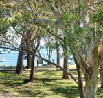 32 Bay Parklands 2 Gowrie Avenue fantastic unit with air conditioning pool tennis court  spa - Accommodation BNB