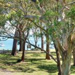 32 Bay Parklands 2 Gowrie Avenue Fantastic Unit With Air Conditioning Pool Tennis Court & Spa - Accommodation BNB 0