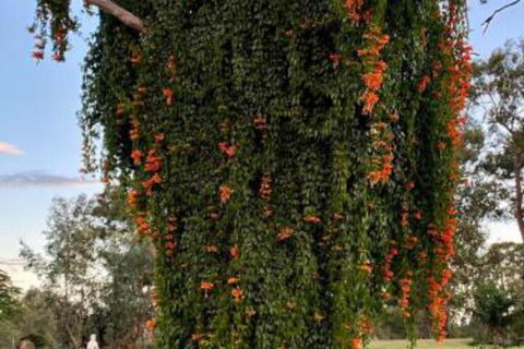 Amarina Farm Stay & Gardens - Accommodation BNB 6