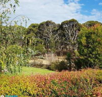 The Old Picnic Ground at Ironstone B  B - Accommodation BNB