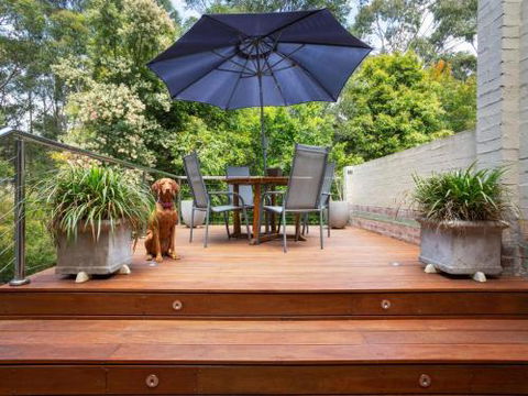 Birdsong At Hyams Beach 4pm Check Out Sundays - Accommodation BNB 0