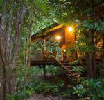 Wildwood - Accommodation BNB